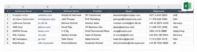 Company files Excel preview